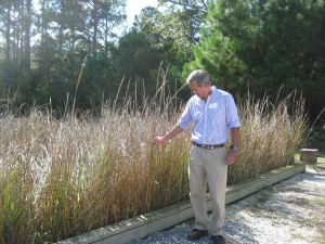 NC State aquaculture researcher Harry Daniels checks out the experimental discharge "garden" at MARC.