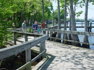 Visitors enjoy a stroll on a wooden walkway.