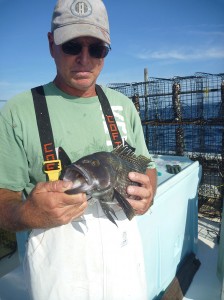 Burgess shown holding black sea bass.