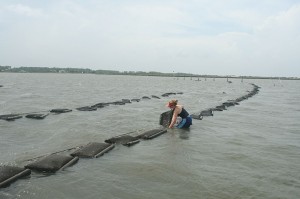 Duke researchers take samples from an oyster lease.