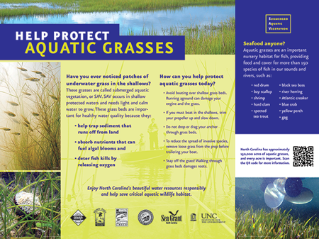Protect Sea Grass