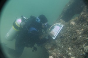 A diver records details of the bow underwater. 