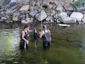 Researchers set up a net in a river.
