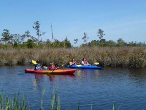 Currituck Sound kayakers