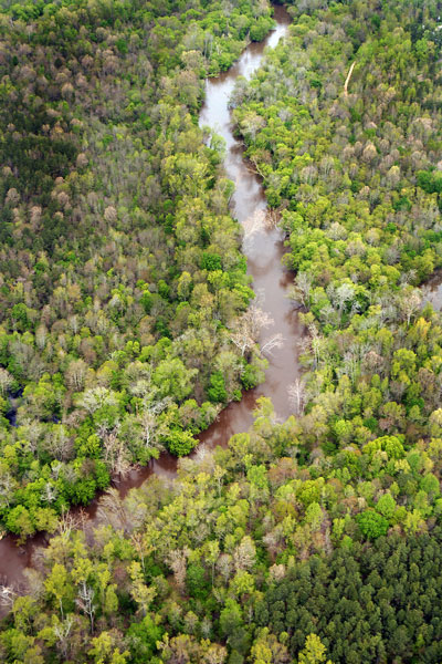 Aerial view of part of the Neuse River