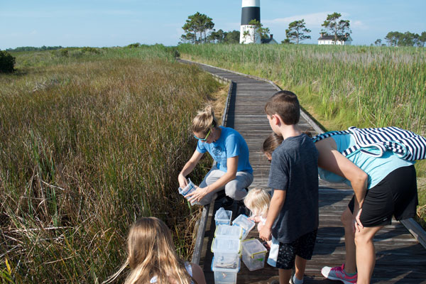 Molly releases frogs, watched by children, with lightouse in the background