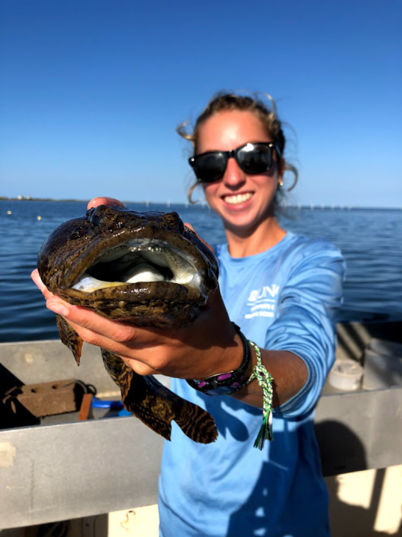 Research technician Marianna Miller with an oyster toadfish caught in a crab pot in Hatteras. Photo by Savannah Swinea.