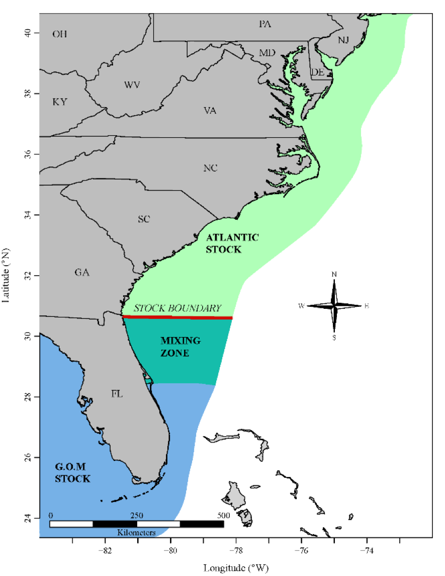 Atlantic (light green) and Gulf of Mexico (blue) stocks of cobia mix between Cape Canaveral, Florida, and the Georgia-Florida state line (SEDAR58).