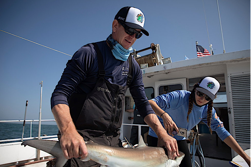 Longline fishing - Hookline for leisure and sea fishing