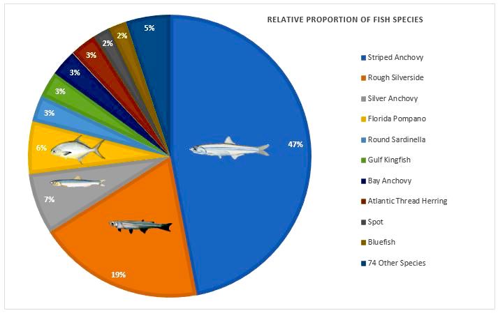 The relative proportions of fish species to the overall pooled abundance of fish caught between 2004 and 2014.