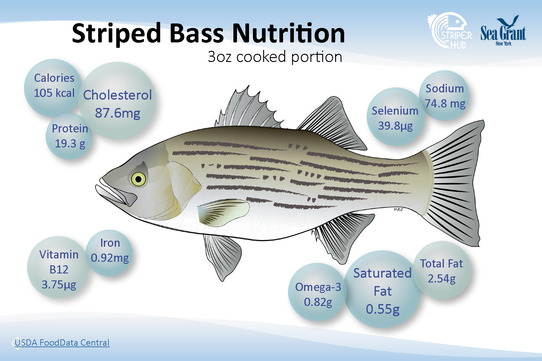 Nutrition StriperHub