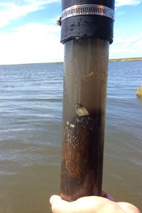 Tube (core) with water and sediment
