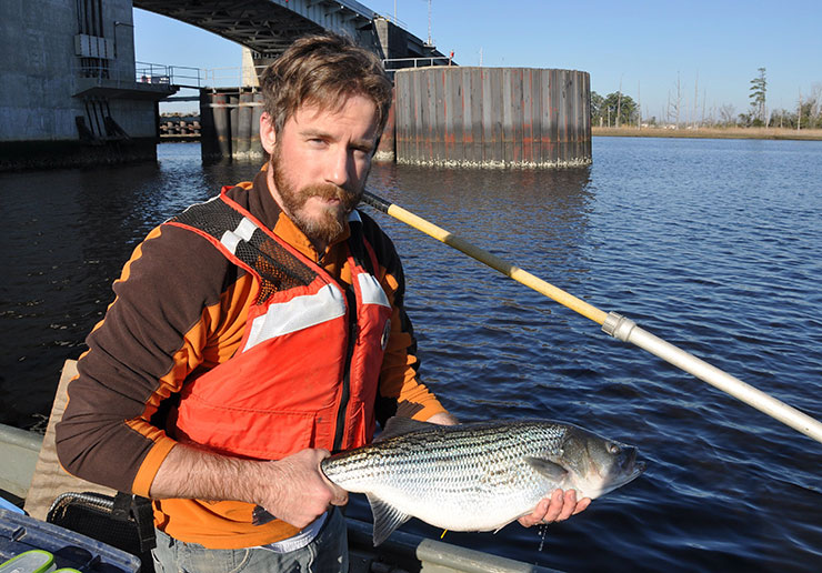 Joshua Raabe holds a tagged striped bass to release in the Cape Fear River.