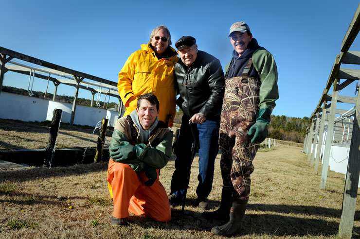 Clockwise, from back left: Craig Sullivan, Ron Hodson, Andy McGinty and Mike Hopper conduct research at North Carolina State University's Pamlico Aquaculture Field Laboratory.