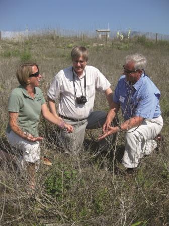Melanie Doyle, Randy Westbrooks and Rick Iverson examine what remains of beach vitex on the back of a dune.