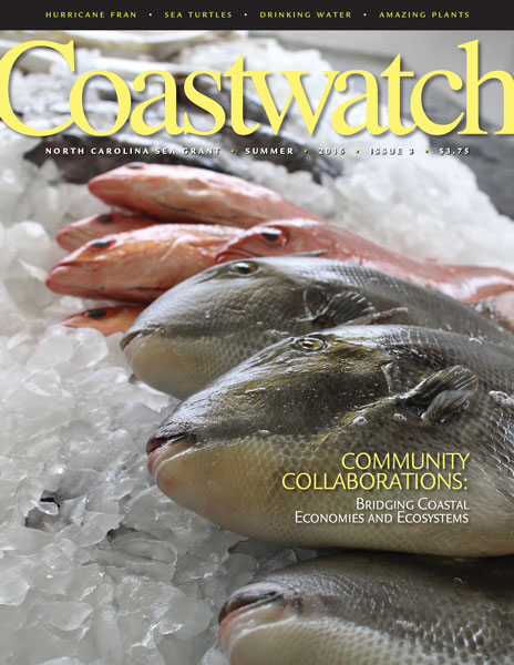 Pic of summer 2016 cover of Coastwatch, picture of whole fish on ice. Photo by Vanda Lewis