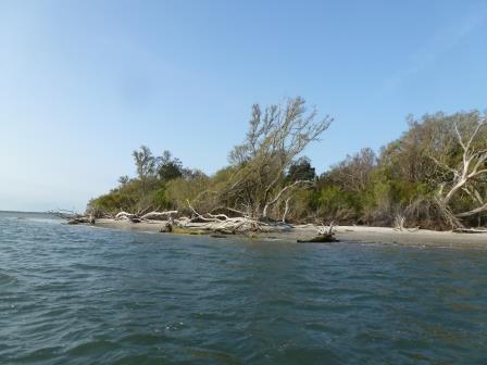 SEA SCIENCE: Rising Waters and Migrating Marshes: Researchers Track ...