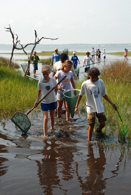 students in environment