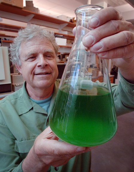 Paerl studies algal blooms