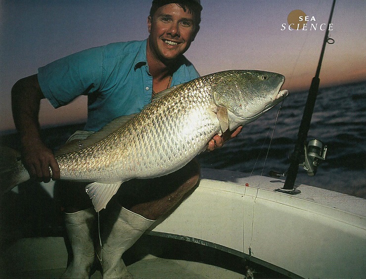 Captain George Beckwith with red drum