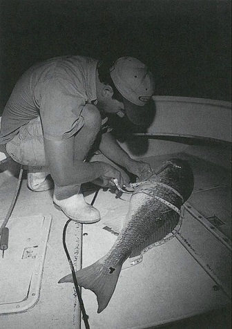George Beckwith tags red drum
