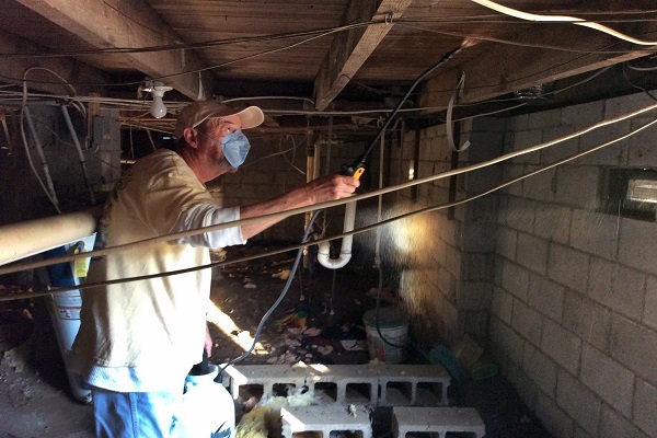 Seven Springs mold spraying