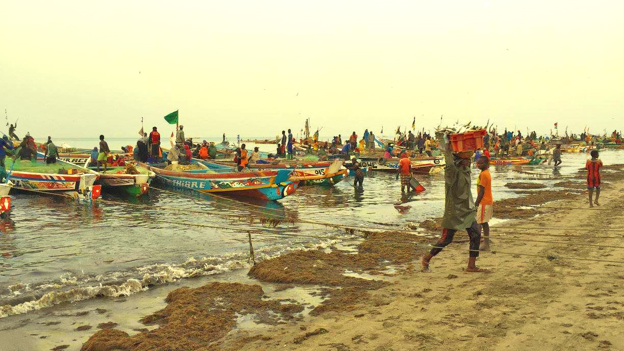 Senegalese fisherman launching pirpgues.