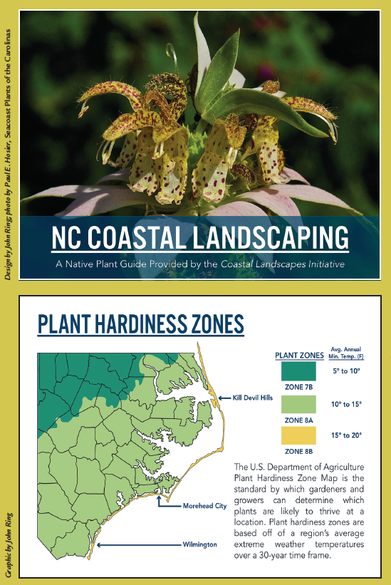 NC coastal landscaping and plant hardiness zones. Graphic and design by John Ring, photo by Paul E. Hosier. Seacoast Plants of the Carolinas