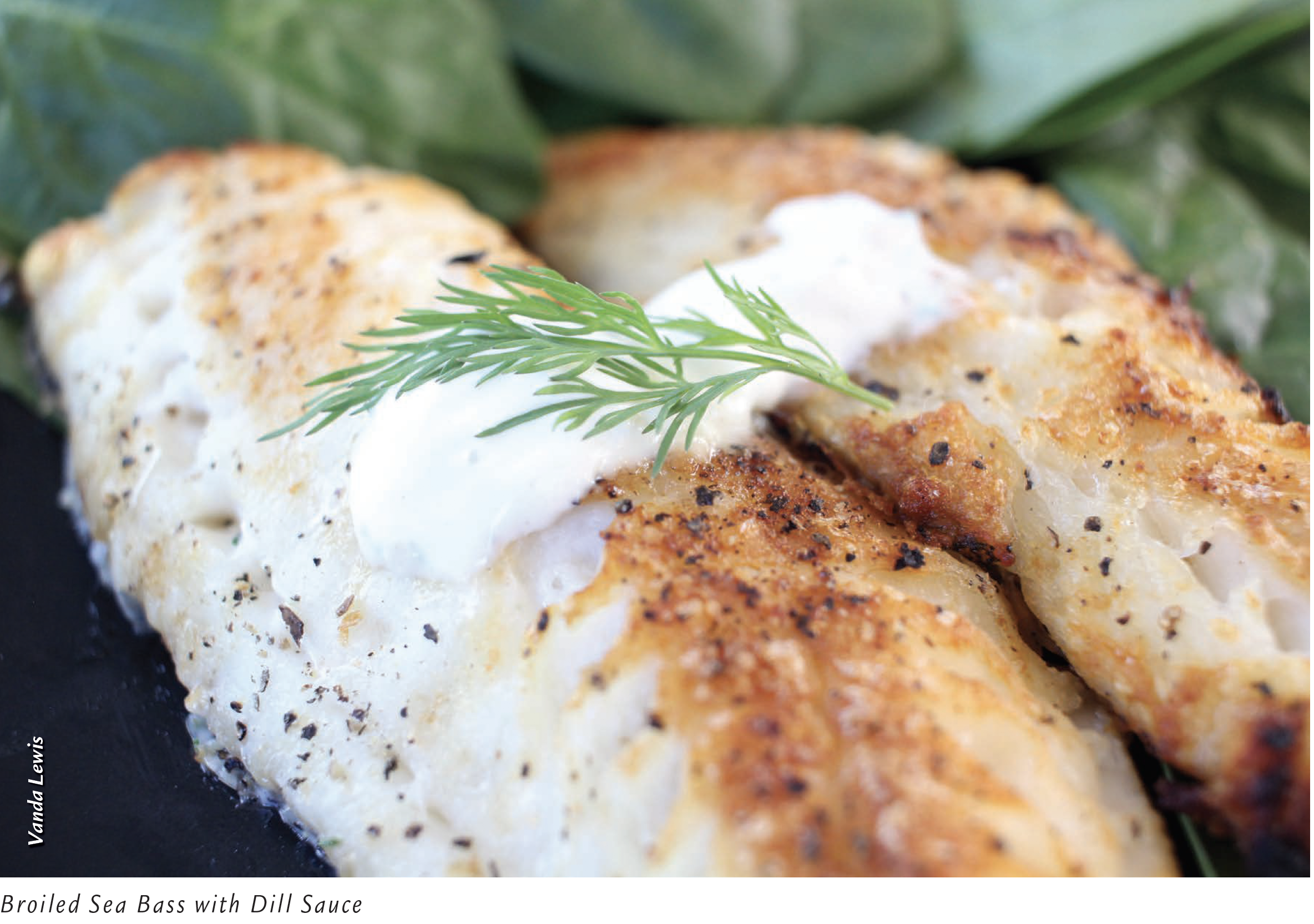 Broiled Sea Bass with Dill Sauce