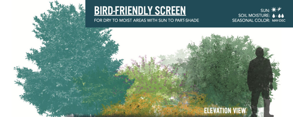 Image of bird-friendly screen landscaping design