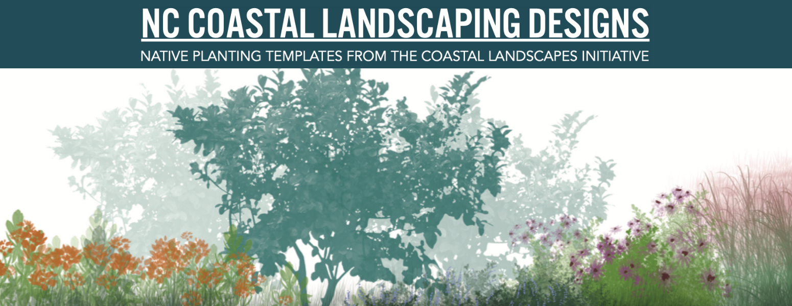 NC Coastal Landscaping: Native Plant Templates from the Coastal Landscapes Initiative