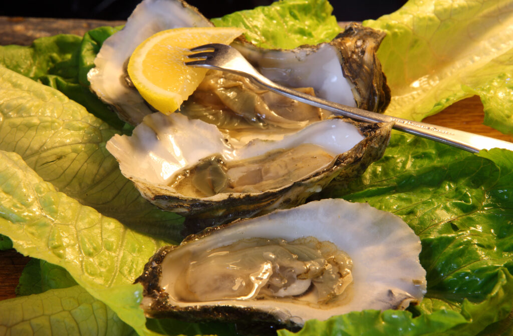 image: NC oysters. 