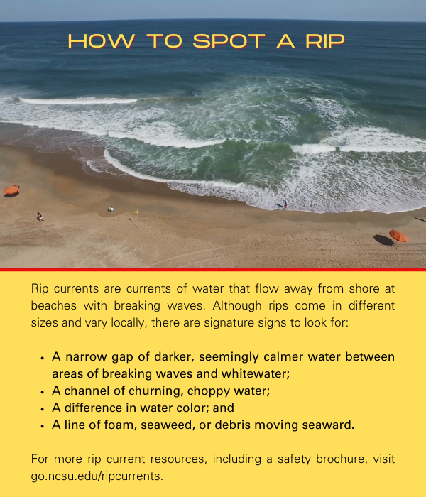 Information on how to spot a rip: Rip currents are currents of water that flow away from shore at beaches with breaking waves. Although rips come in different sizes and vary locally, there are signature signs to look for: 1) A narrow gap of darker, seemingly calmer water between areas of breaking waves and whitewater; 2) A channel of churning, choppy water; 3) A difference in water color; and 4) A line of foam, seaweed, or debris moving seaward. For more rip current resources, including a safety brochure, visit go.ncsu.edu/ripcurrents.