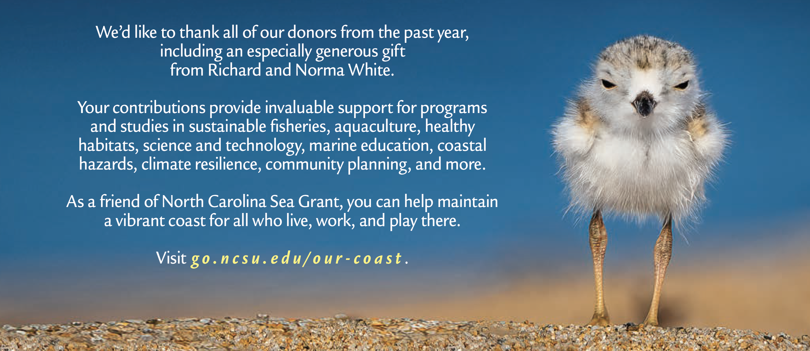 back cover of the Summer 2023 issue of Coastwatch, thanking donors and featuring a piping plover.