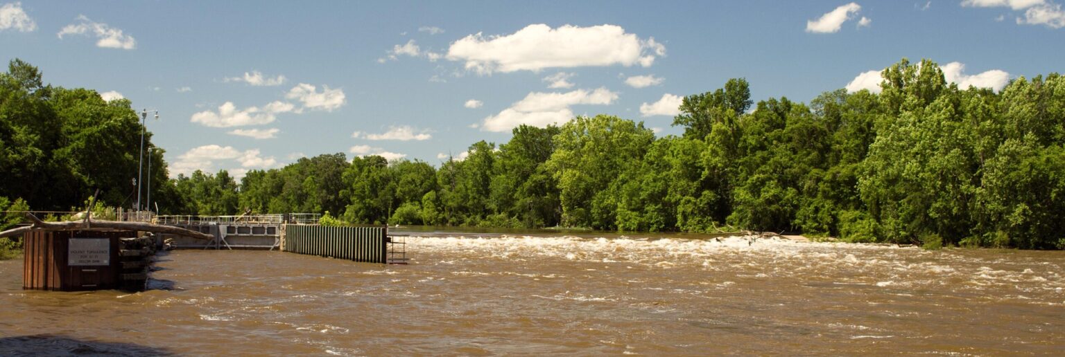 Danger in the Water: “Forever Chemicals” Have Contaminated Fish in the ...