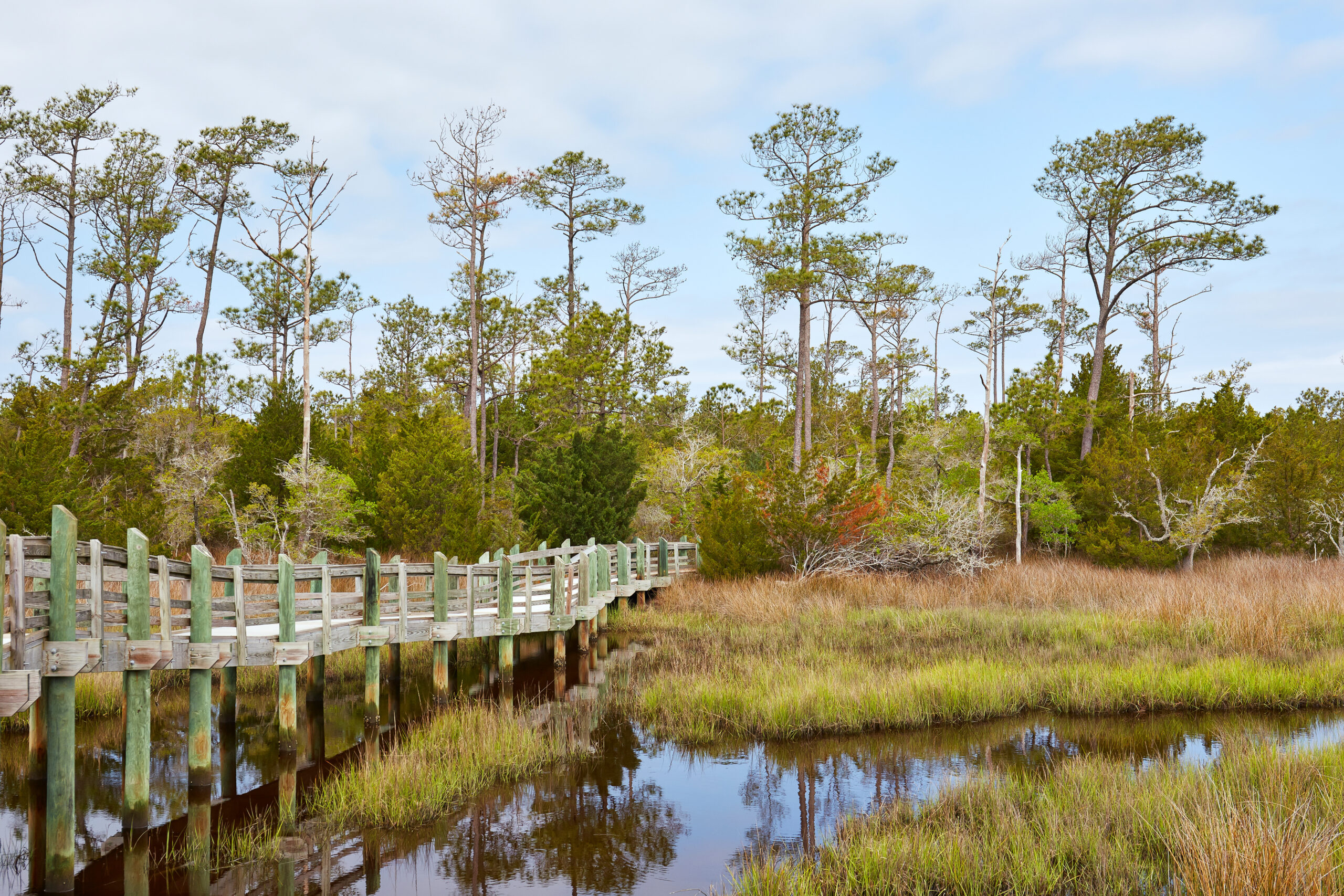 image: boardwalk through a marsh with standing water.