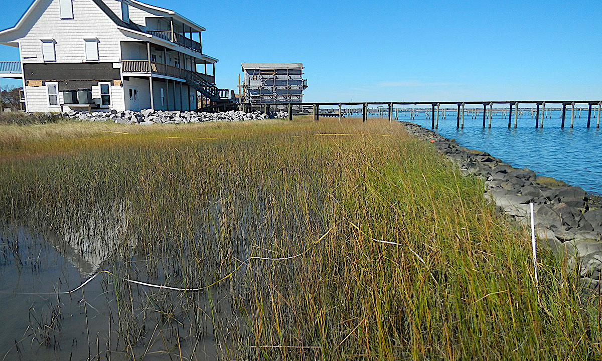 image: marsh grass and rocks sit between a house and a water body.