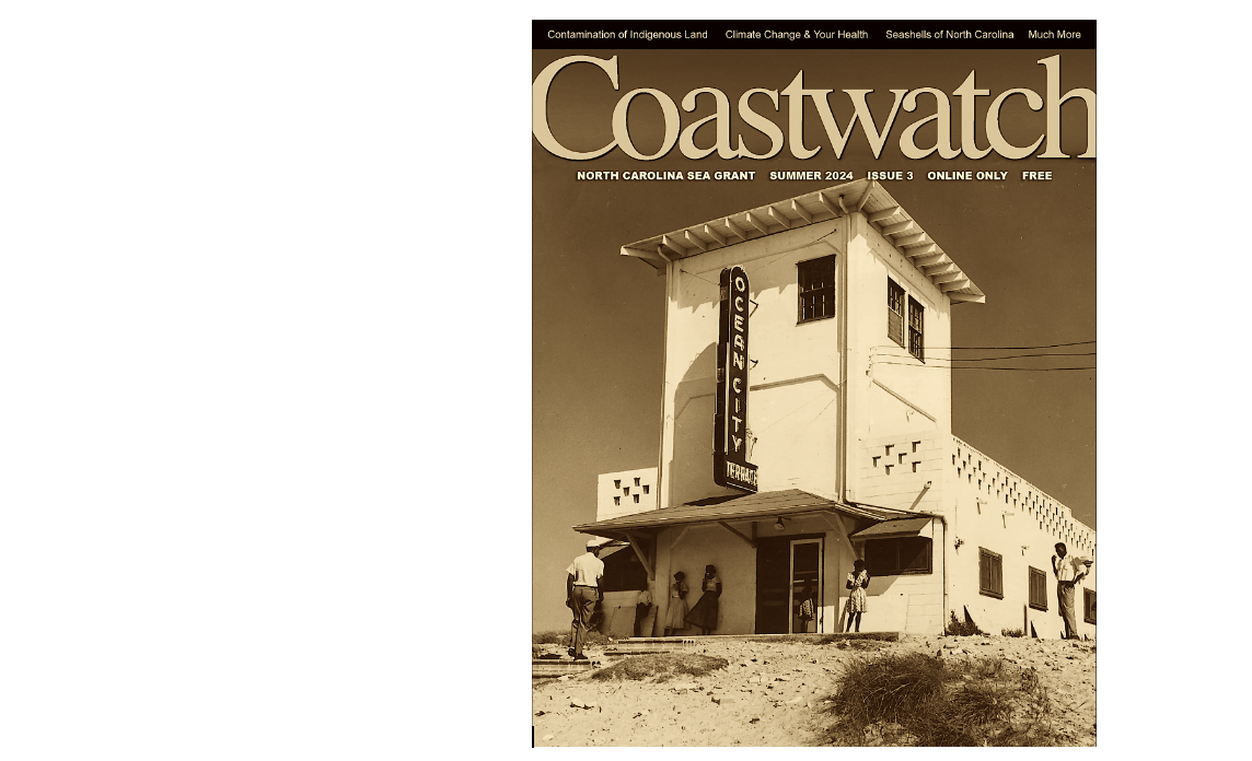 image: Coastwatch Summer 2024 cover.