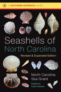 cover image: Seashells of NC.