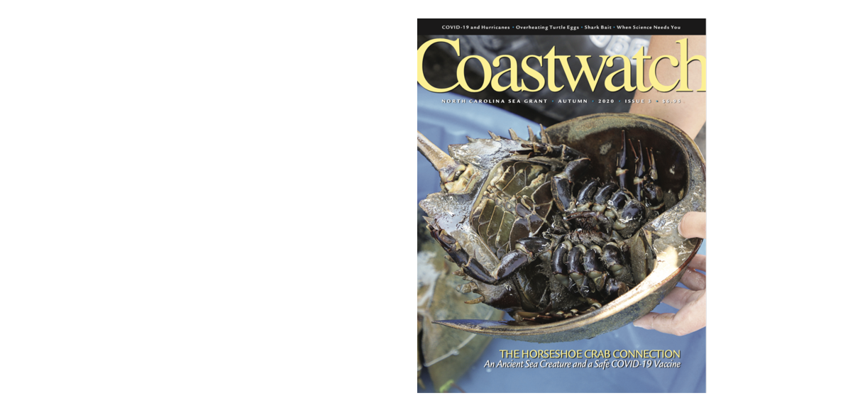 image: Fall 2020 cover of Coastwatch.