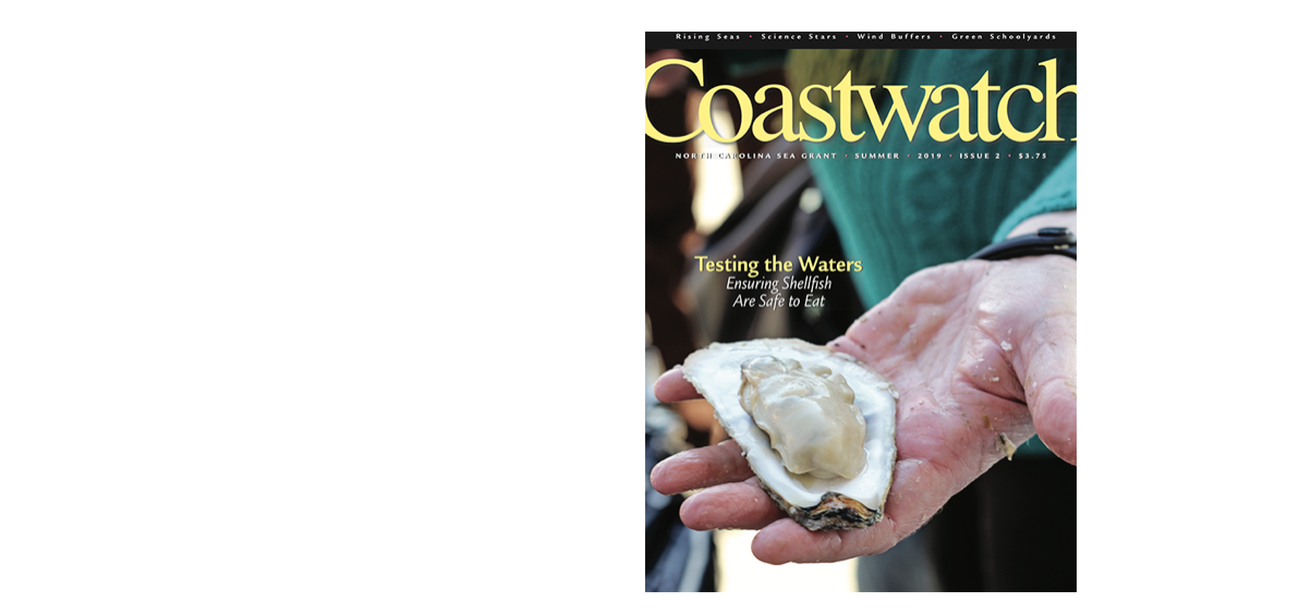 image: Spring 2019 cover of Coastwatch.