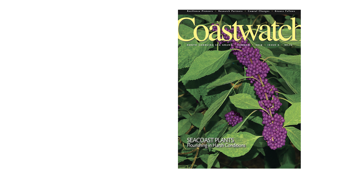image: Summer 2018 cover of Coastwatch.
