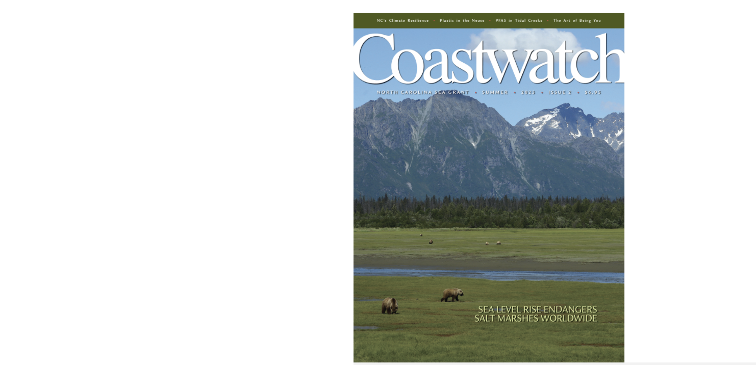 Image: Coastwatch Summer 2023 cover.