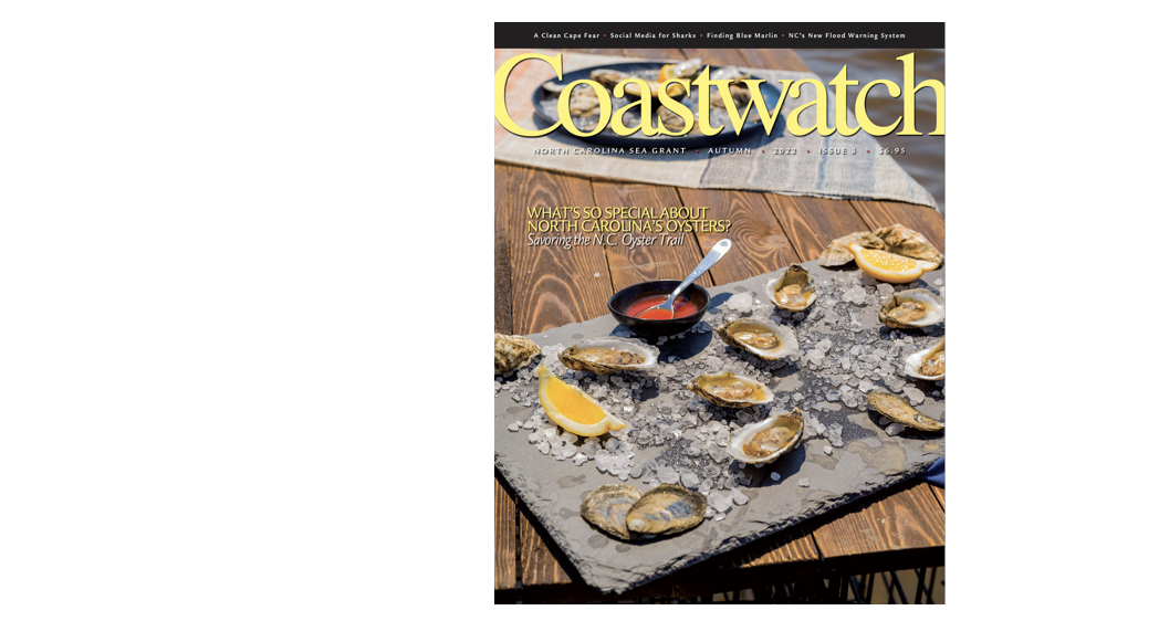 image: Fall 2022 Coastwatch cover.
