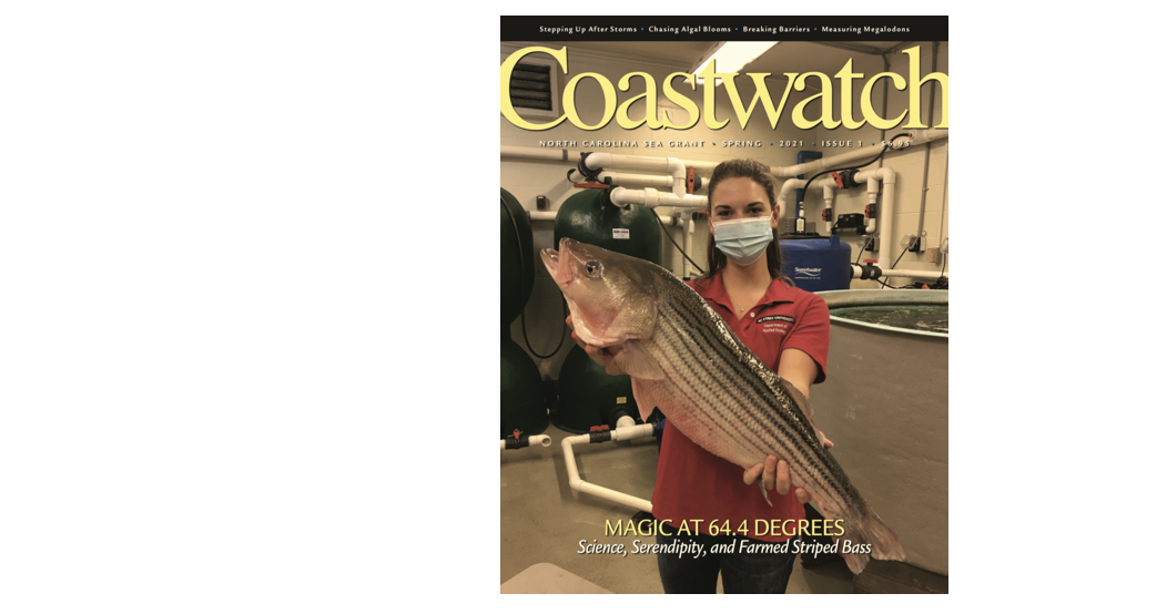 image: Coastwatch cover for Spring 2121.