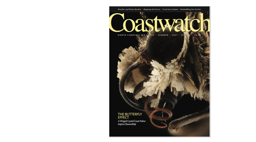 image: Summer 2021 cover of Coastwatch.
