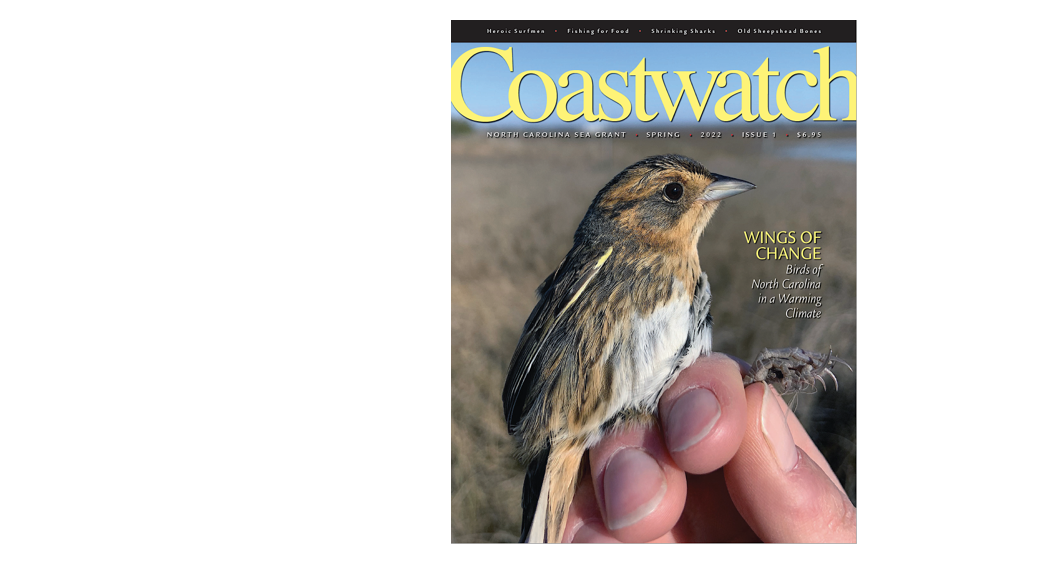 Coastwatch cover.