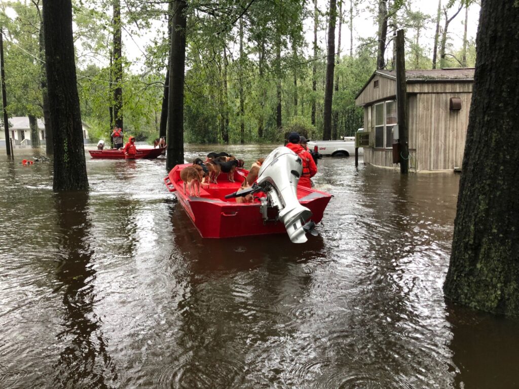 image: Coast Guard rescues people, pets near Riegelwood, N.C.