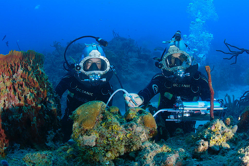 image: Fabien Cousteau underwater.