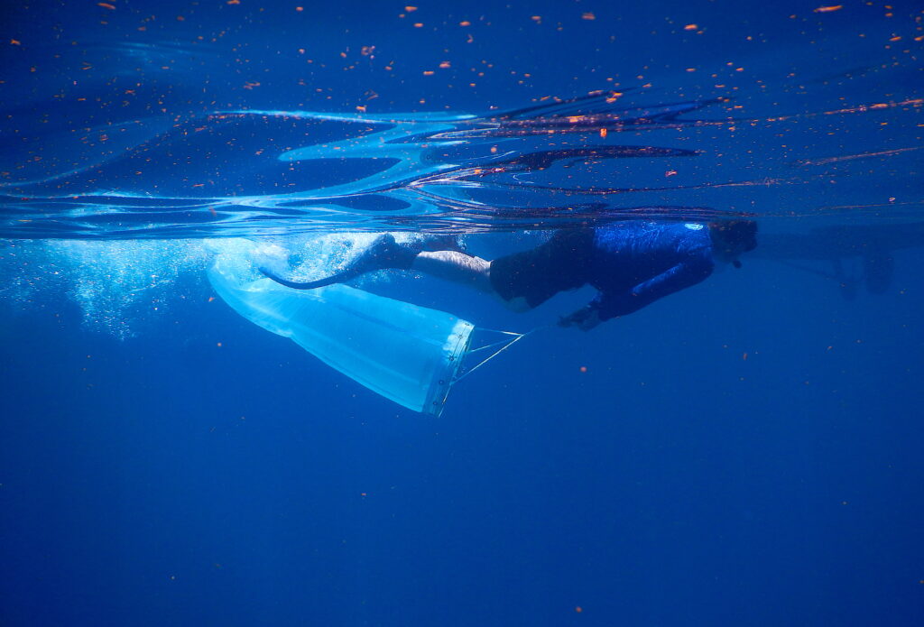 image: Brian Helmuth doing a plankton tow.